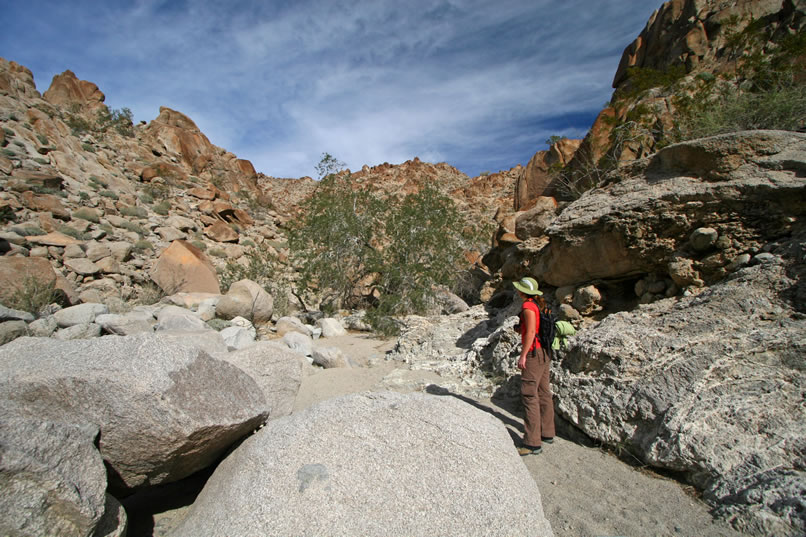 Short stretches of easy going alternate with clumps of boulders that take some scrambling to get over.