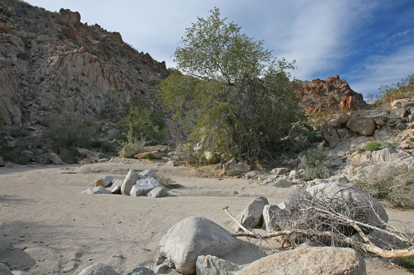 However, once through the gnarly boulder part, she comes upon an easy sandy section.