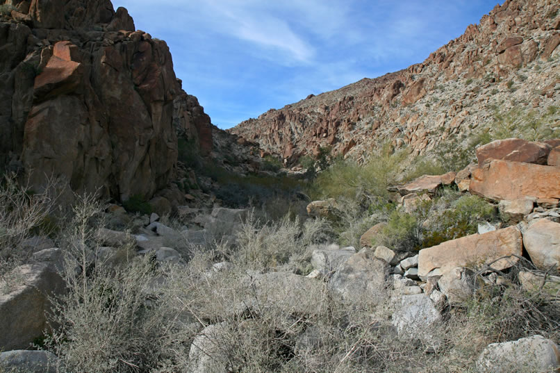 Looking up the canyon from the pool shows more boulders and dense vegetation.  It's time to head back.