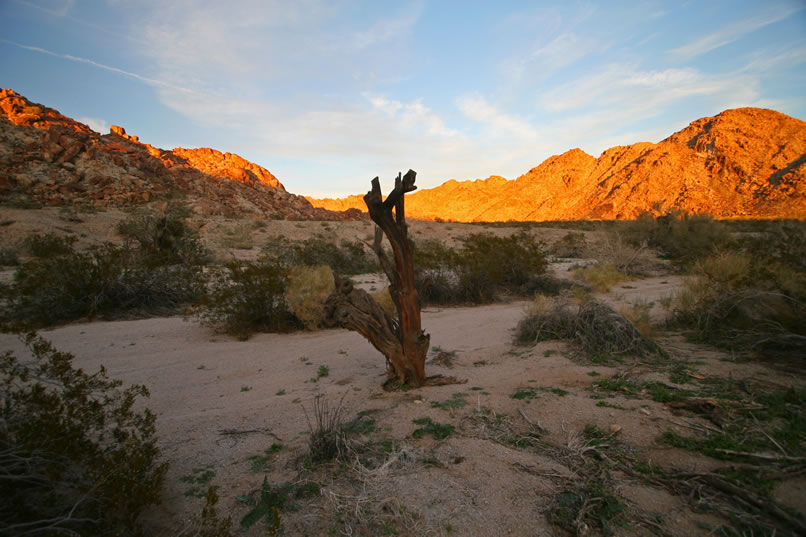 The dead tree in the foreground is backlit by the vivid sunset glow from the hills on the other side of the valley.