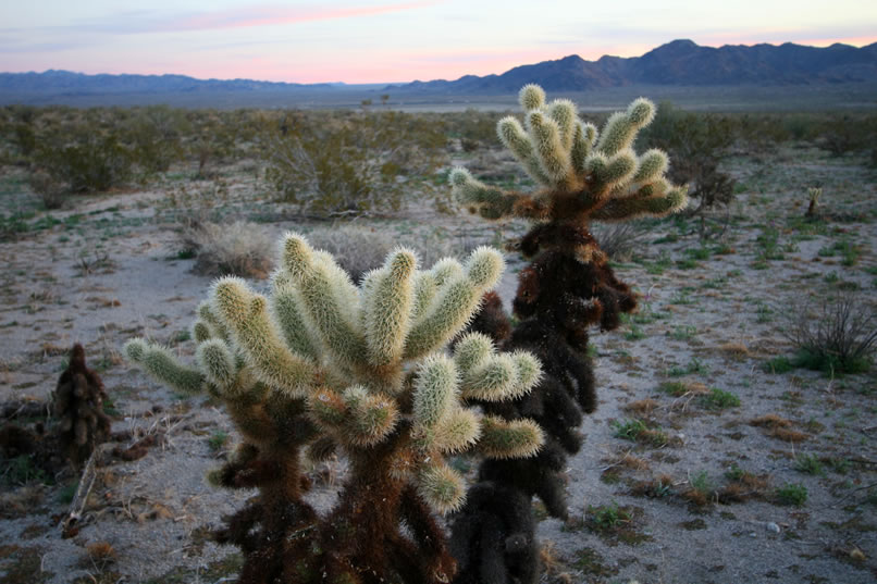 Fortunately, it's a mild night and we have our headlamps with us so we just enjoy the sunset colors as we hike along.