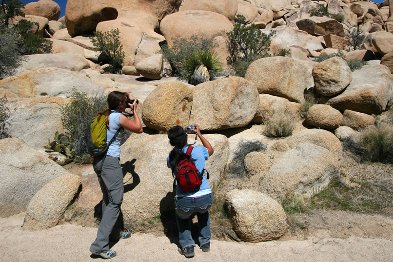 Niki and Cindy are the desert equivalent of the paparazzi when it comes to photographing lizards!