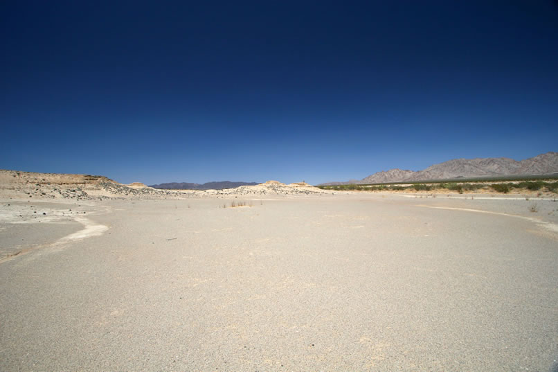 Niki and Mohave radio that they've come across an extensive fossil bed.  This is what we've been looking for!   In this panorama, you just might be able to make out Mohave sitting on top of the right hand knoll in the center of the photo.