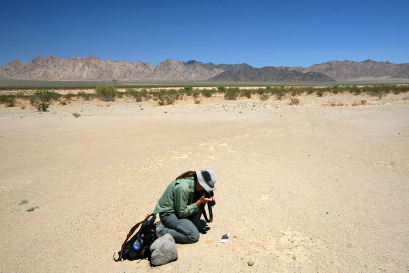 Niki takes a photo of another unusual piece of fossil bone.