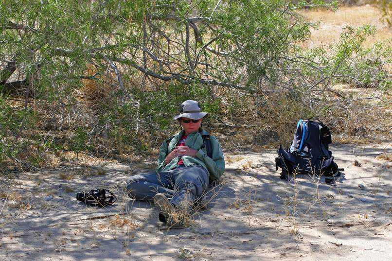 We decide that it's time for us, too, to begin the return hike.  However, a short nap in the shade, followed by a snack, seems in order first.