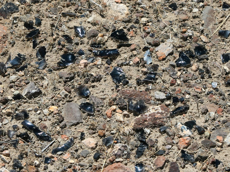 We decide to each do a wide loop in opposite directions and then meet back at the truck to share what we've encountered.  Niki's first photo shows that the ground is littered with obsidian for as far as she can see.