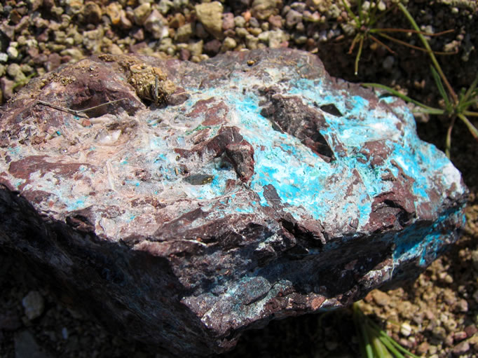 There were many copper stained rocks strewn around the entire area.