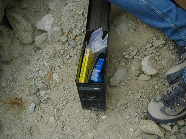 The geocache.