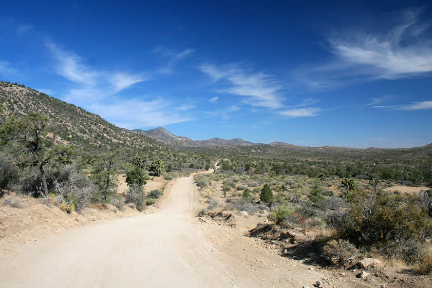 We've gradually left Yucca Valley and Pioneer Town behind us as we've climbed higher into the San Bernardino Mountains.  This view along Burns Canyon Road shows the first area that we'll be exploring today.