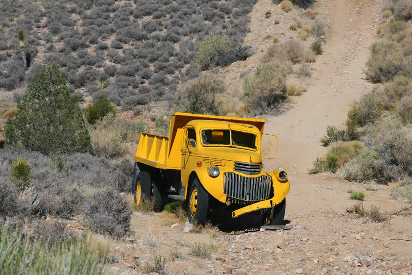 Its bright yellow color makes it easy to spot this photogenic old truck.