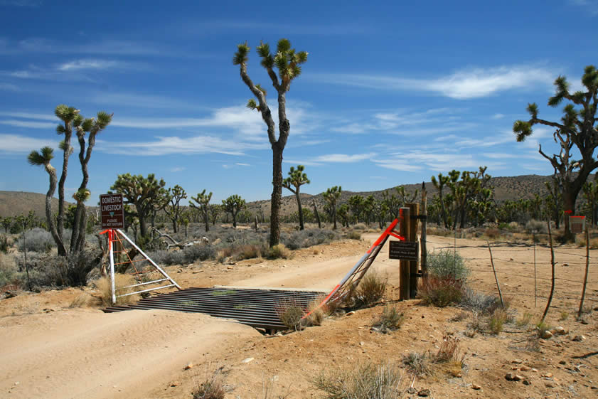 The cattle guard reminds us that as early as 1875 cattlemen were using the numerous springs in the area to water their herds as they moved them from the high desert up into the mountains and back.