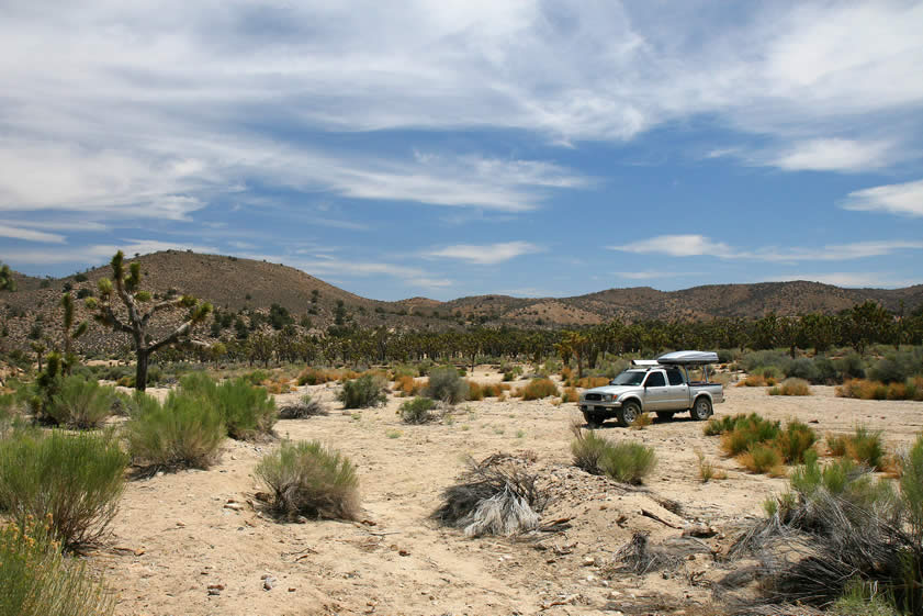 Finally, we return to the Lizardmobile to continue our tour of the area.