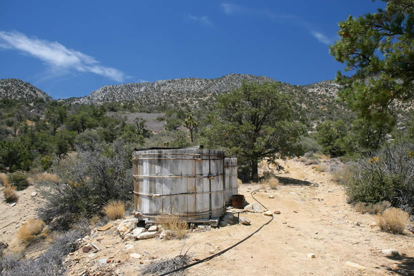 The wooden water tanks are perched above the chicken coop and cabin and provide yet another scenic photo opportunity.