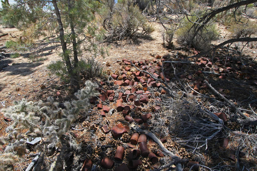 A can scatter hints at the numerous miners who once worked in this area.