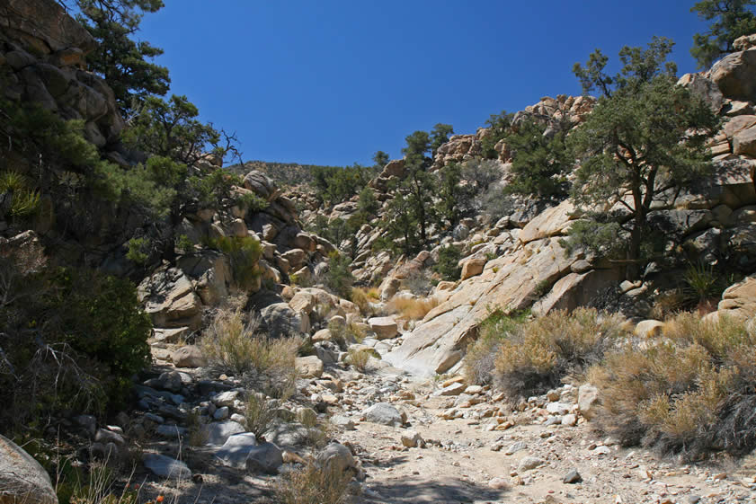 We continue on down the canyon a ways to see what else might turn up.