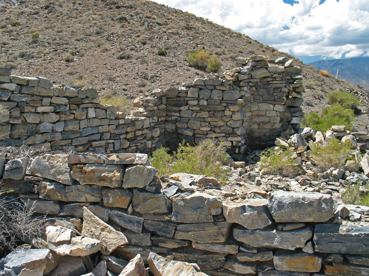 The far wall has the remains of a stone fireplace and chimney.