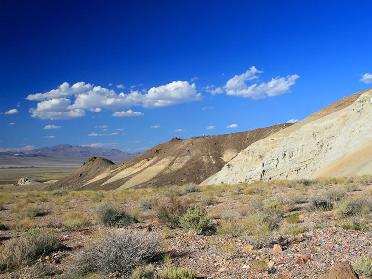 However, word soon comes over the radio that Niki has found some petrified wood, so we link back up.  If you look closely you might be able to see Niki on the ridgeline of the chocolate colored hills.