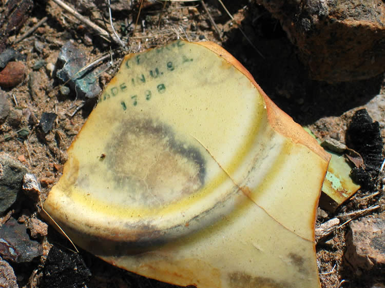 Well, this bit of pottery is certainly not that old!  Any pottery experts out there that know anything about this?