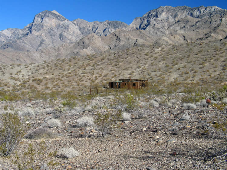 Here's a photo from the end of the trash dump looking back at the cabins and the Providence Mountains in the background.