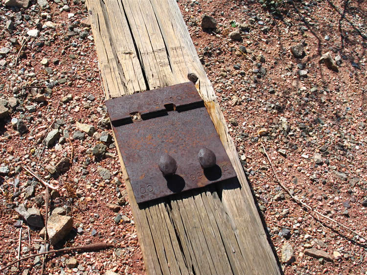 Track plate and spikes.