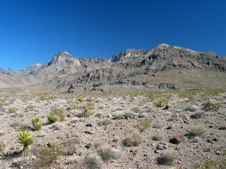 The view from atop the tailings pile.