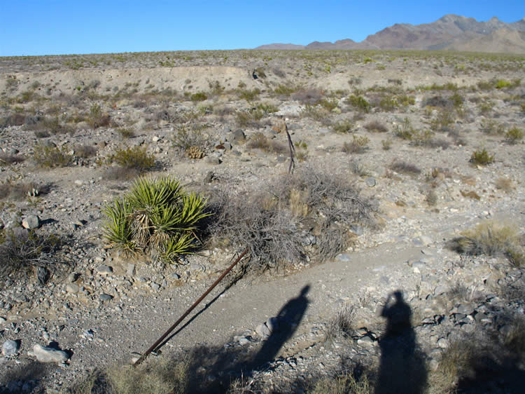 Remember our question about how these miners were able to get an ample supply of water for their camp, the mine and the trees?   The answer comes as soon as we crest the hills by the wash and see a pipeline snaking its way across the wash from the east.