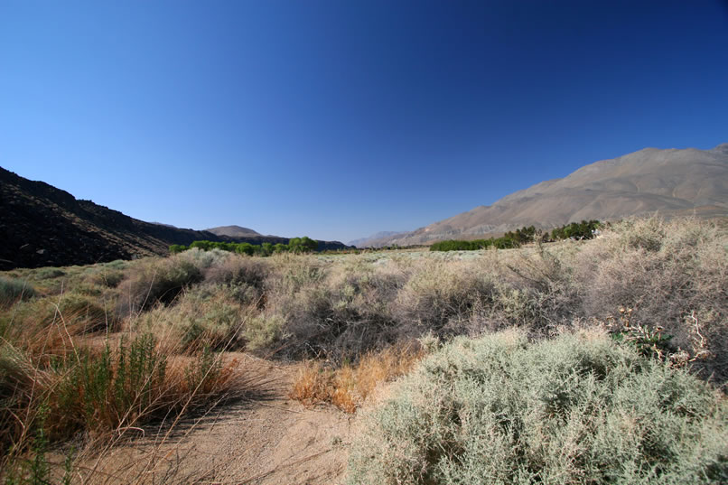 As we leave Atlatl Cliff, we take a look back toward the lush greenery around Little Lake.