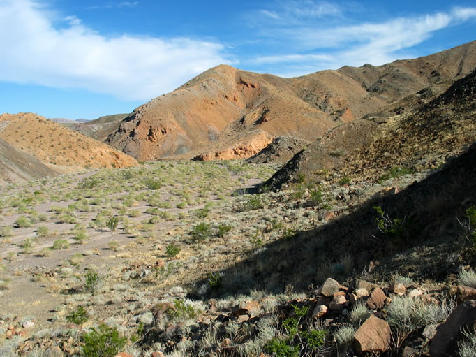 This view is looking toward the entrance to Sagenite Canyon.  The main road is where this wash ends at the golden hills.