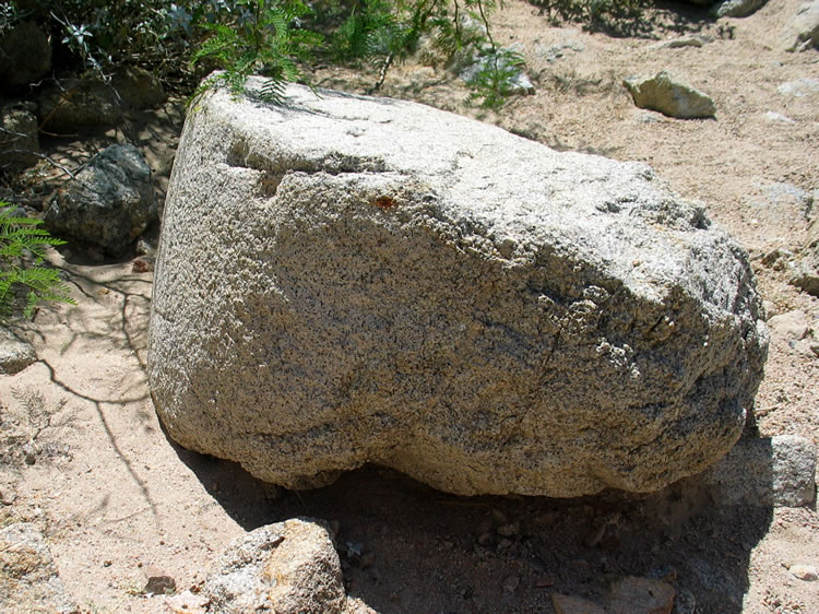 Also in the wash bottom we find the remains of a stone wheel from a Chilean Mill.