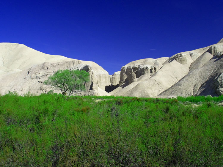 The barren mud hills and the intense green from the spring make for some stark contrasts.