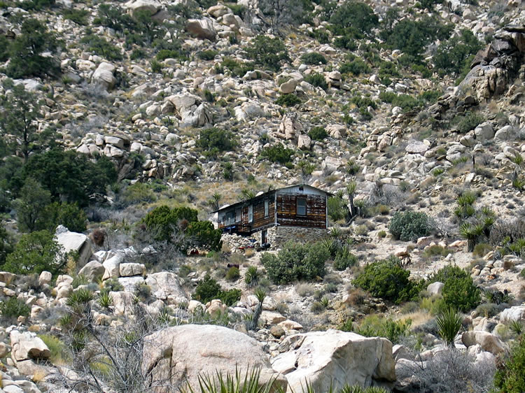 The topo map shows two cabins west of Sunflower Spring.  We want to see if they are still there.  Since they're in the wilderness area a hike is necessary.  This photo is of the first one that we find at the end of the road.