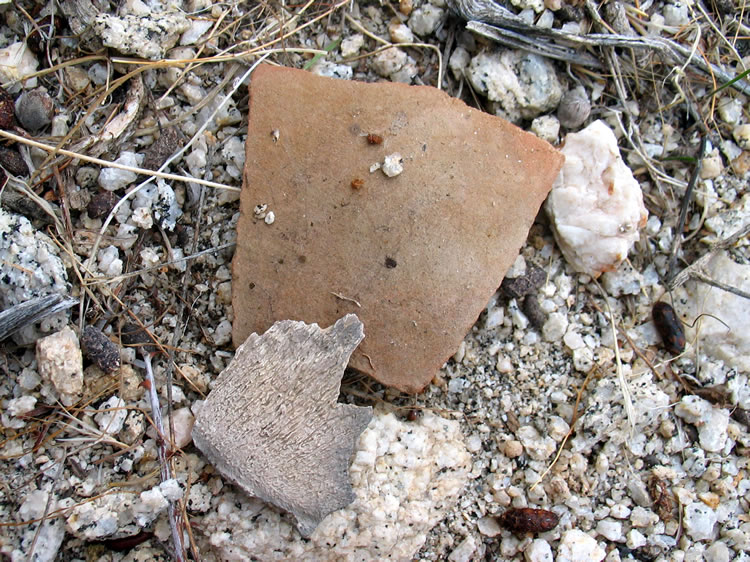 Here's a close up of a piece of pottery and bone fragment found in one of the shelters.