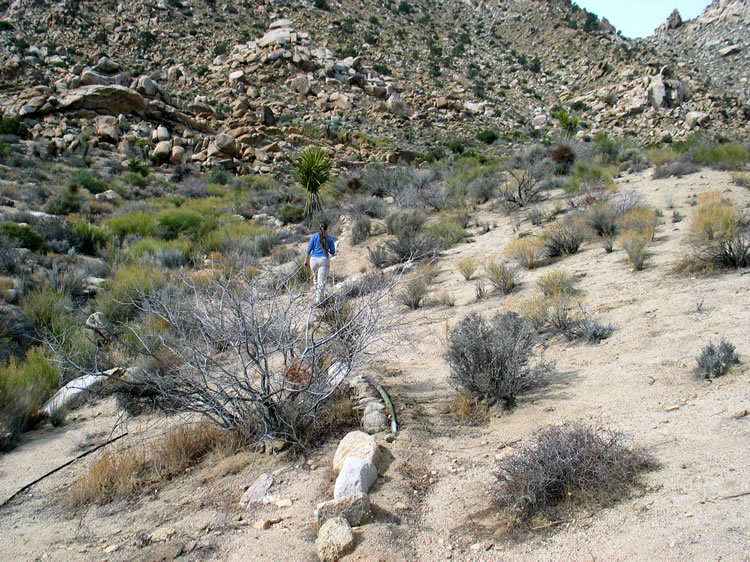 We hike along a partially buried pipe to a well location.