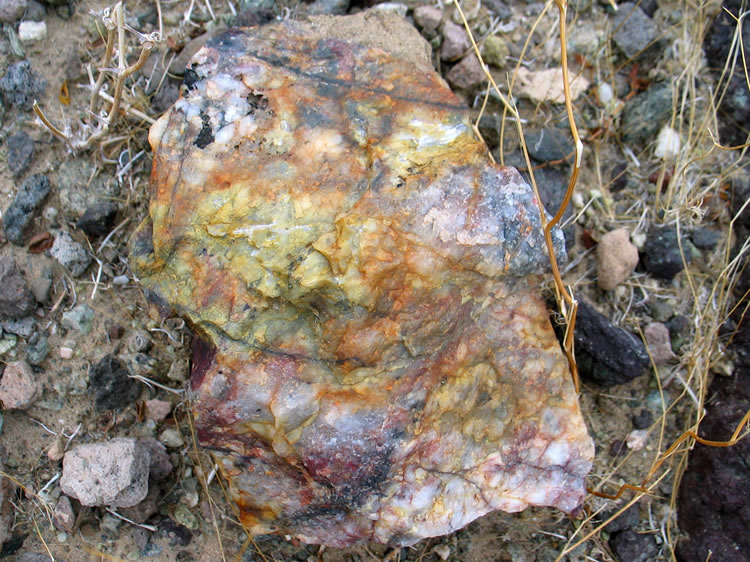 Scattered among the trash are some nice looking rocks that might have been collected by the original inhabitants or left by a rockhound.  This is a nice piece of colorfully stained quartz.