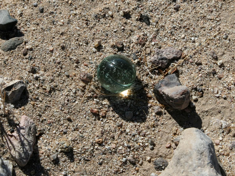 What a great way to end the trip, by finding a crystal ball!  Well, actually a large marble, but most likely highly magical.  Heck, look at what a wonderful trip it created for us!  We hope you enjoyed it as well!