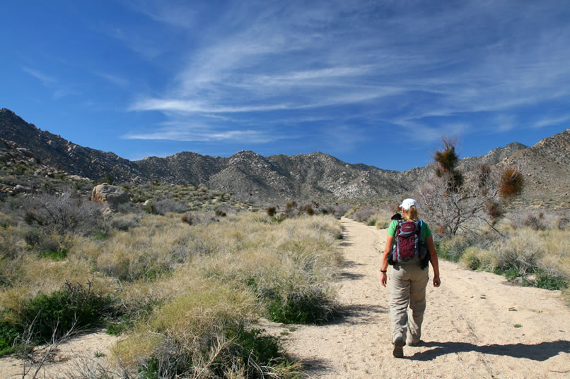 After leaving the truck at the wilderness boundary, we head up Cottonwood Wash and enjoy the gorgeous morning.