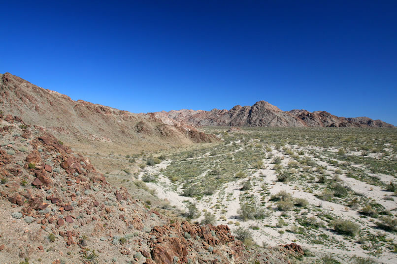 A look up the wash from one of the higher petroglyph panels.