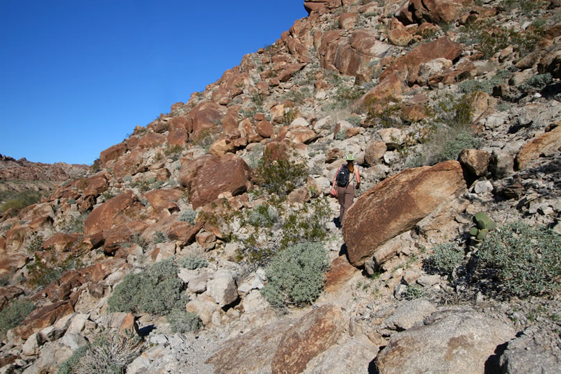 Before we leave, though, Niki hikes up above the mine to check out a cairn that we've spotted from below.