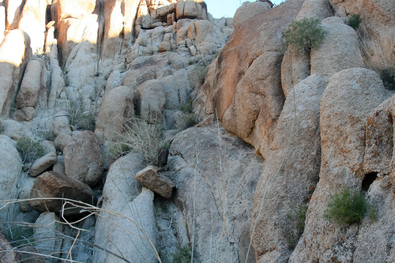 Even further up the slope, she can just make out another bucket behind the rock and to the right of the bush in the middle of the photo.