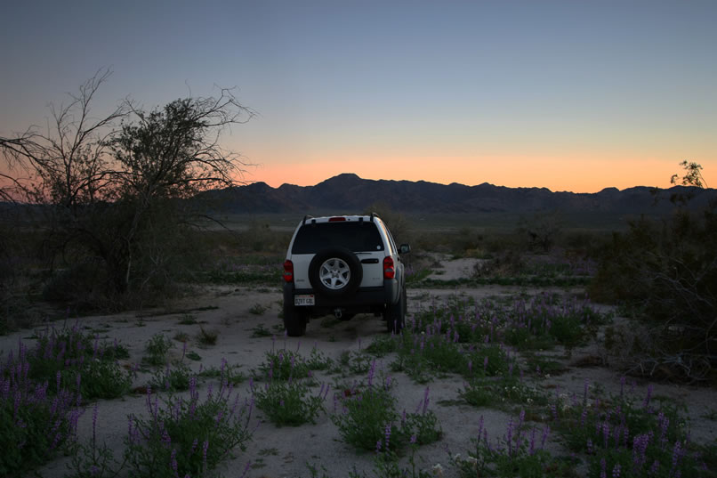 The Jeep looks awfully comfortable about now and the idea of some fast food down the highway in Palm Springs sounds pretty good!  See ya next time! 