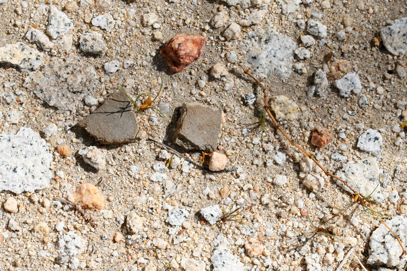 After only a short while we begin to find pottery fragments.