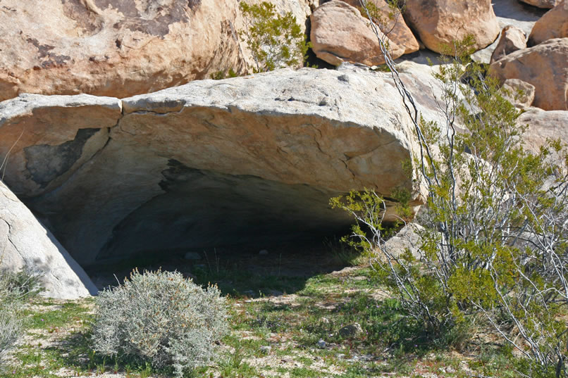 It's time to check out the interior of the shelter.