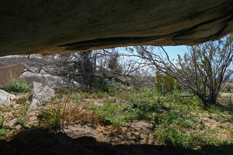 These next shots show the view from inside the shelter looking from the left toward the right.