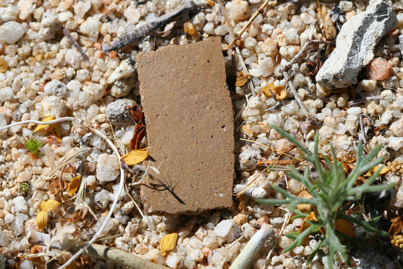 Back outside the shelter again we continue to find numerous pottery fragments.