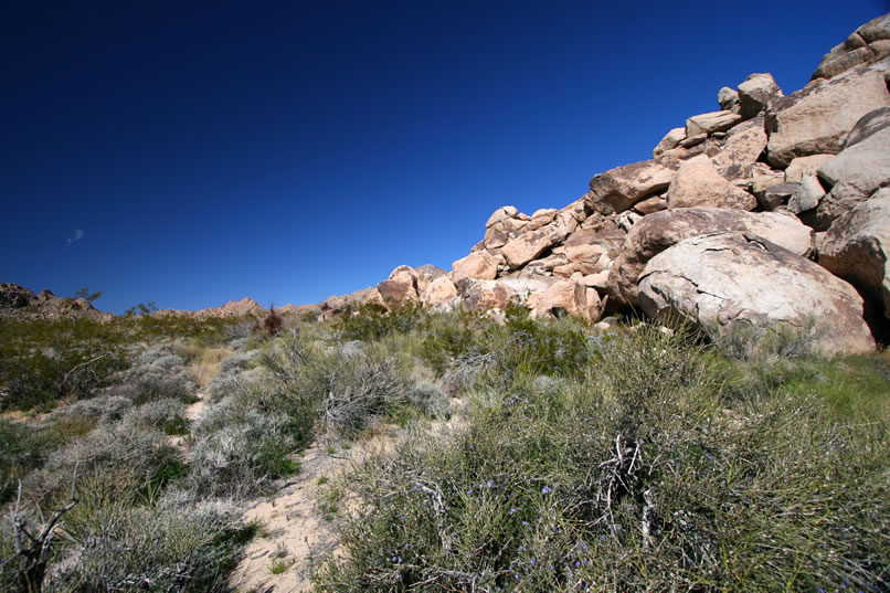 As we head back to the truck we keep checking out all the boulder jumbles for possible pictos but nothing turns up.