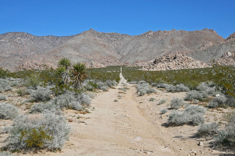 Our plan is to head up toward the base of the mountains until we come to the wilderness boundary and then set up camp.