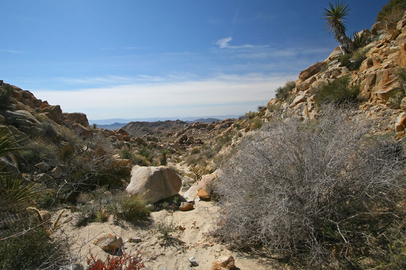 Here's a look back the way we've come.  It looks like we'll have to climb the steep bank of the wash and head cross country to the nearby spring site. 