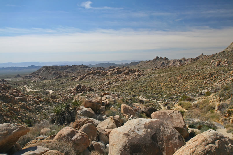 This is our view from the ridge between the two washes.  Now it's time to descend to the spring.