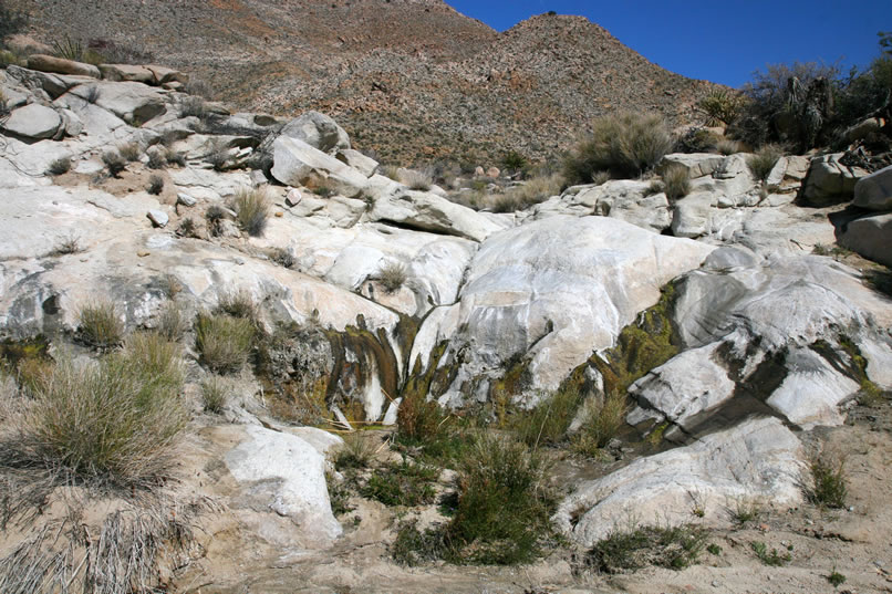 Soon, though, we once again descend to the lower elevations.  Here we've come across some seeps that feed an ephemeral stream that runs down the wash for about fifteen yards.