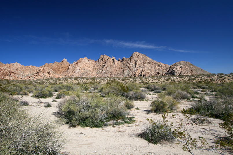 We know, you want to know how the pictograph hunt is going.  Not so good.  At least the scenery is great and there are plenty of wildflowers.  We've wriggled into so many rock shelters that we're beginning to grow scales and long tails!  We're stubborn, though, and keep on hunting.